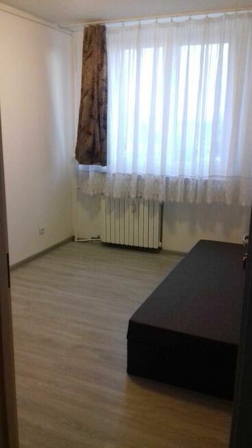 Pokój do wynajęcia