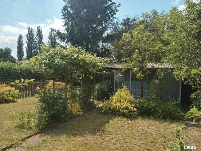 Sielska działka na Ogródkach Działkowych Zielona Polana