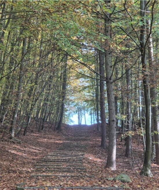 Kompleks 3 działek budowlanych z WZ na domy jednorodzinne