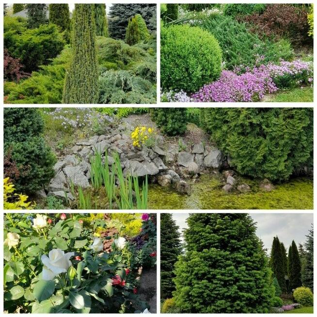 Na sprzedaż dom w Broszkach, Złoczew