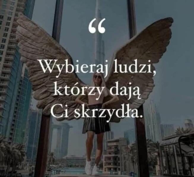 Szalona wariatka poszukiwana