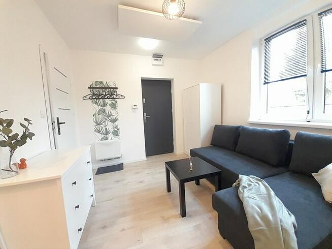 Wynajmę kawalerkę przyjazną dla zwierząt Kukułek18