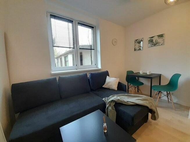 Wynajmę kawalerkę przyjazną dla zwierząt Kukułek18