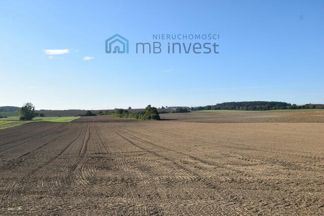 Działka z potencjalem budowlanym