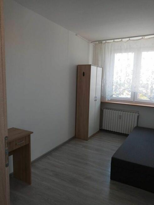 Pokój do wynajęcia