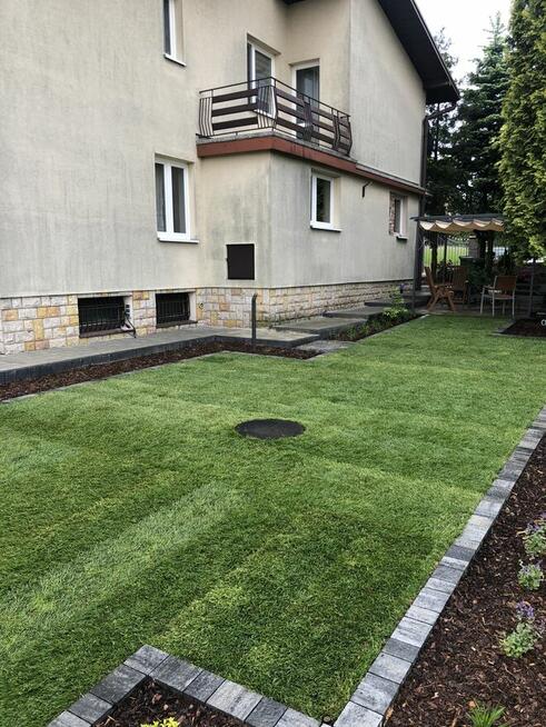 Ogród / trawnik z rolki / trawnik