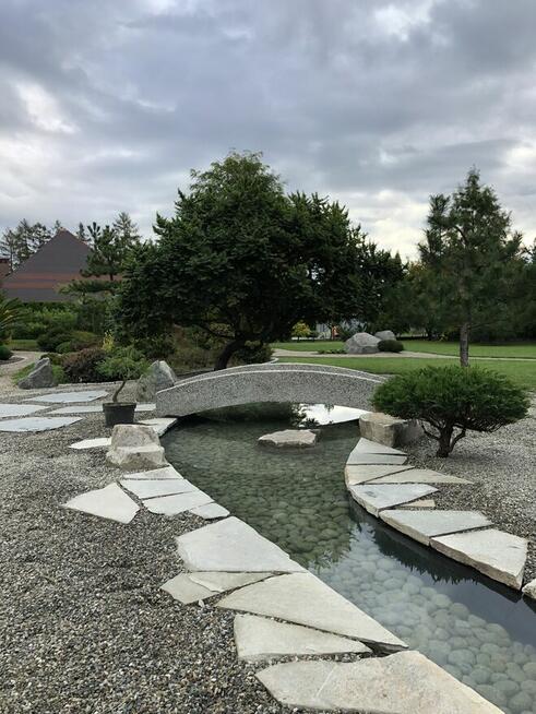 Ogród / trawnik z rolki / trawnik