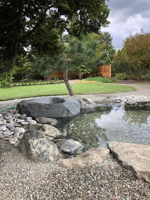 Ogród / trawnik z rolki / trawnik