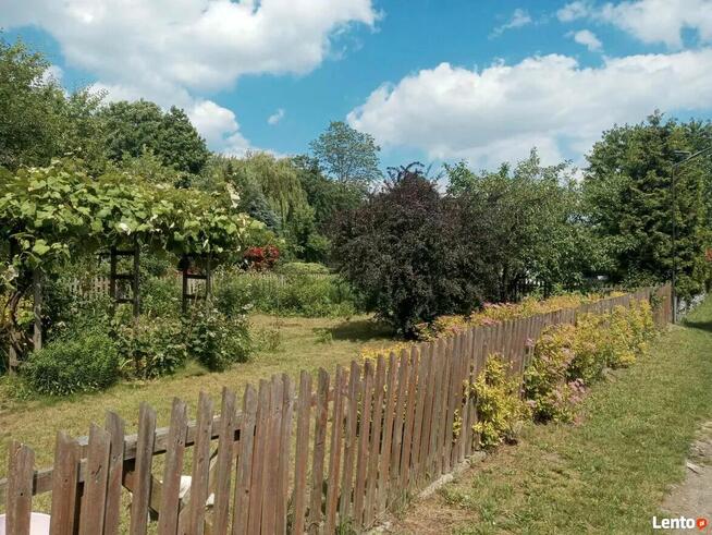 Sielska działka na Ogródkach Działkowych Zielona Polana