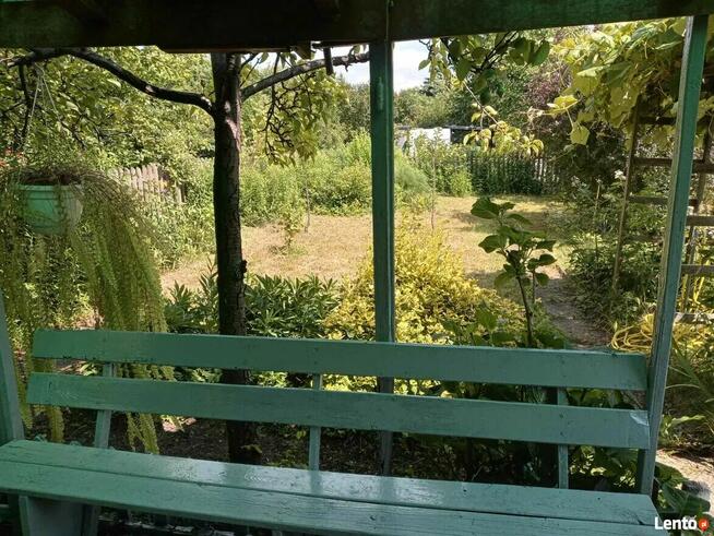 Sielska działka na Ogródkach Działkowych Zielona Polana