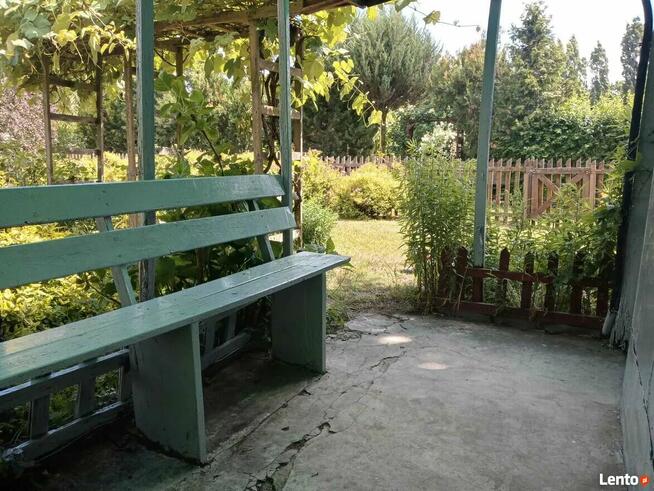 Sielska działka na Ogródkach Działkowych Zielona Polana