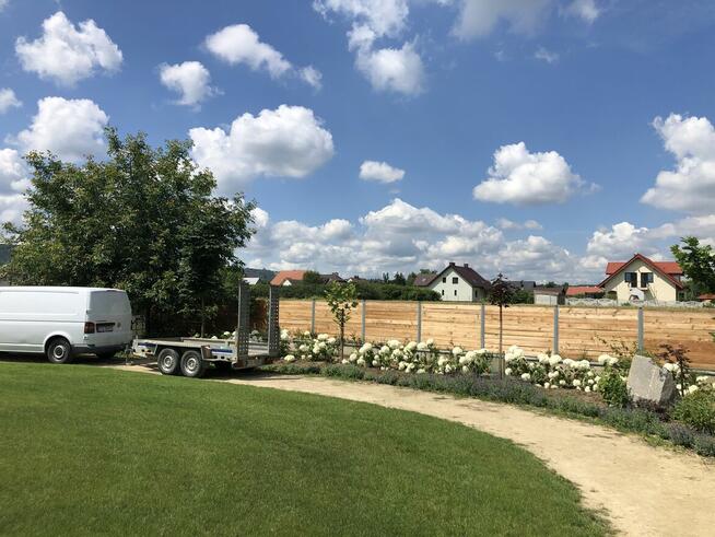 Ogród / trawnik z rolki / trawnik