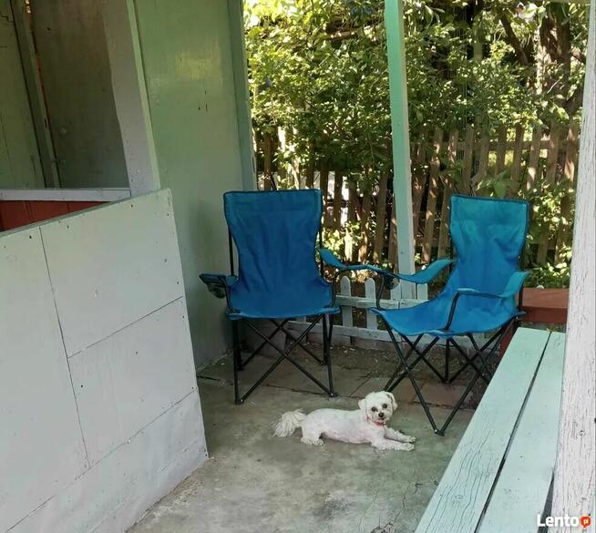 Sielska działka na Ogródkach Działkowych Zielona Polana