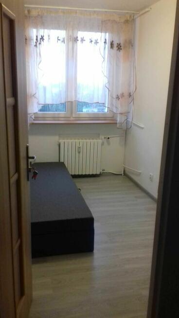 Pokój do wynajęcia