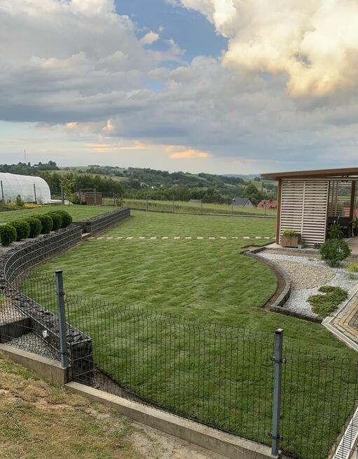 Ogród / trawnik z rolki / trawnik