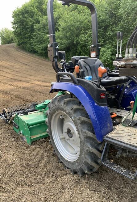 Ogród / trawnik z rolki / trawnik