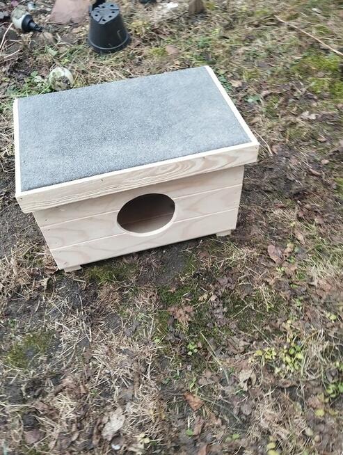 Buda, domek dla kota