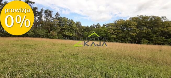 Działka w otulinie lasu - Grabowiec