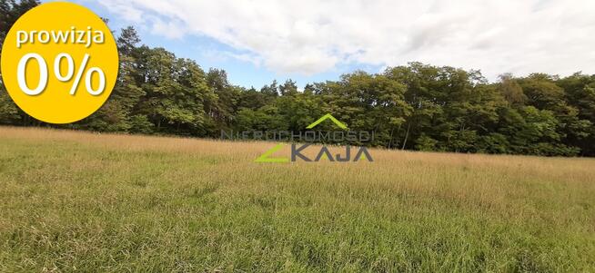 Działka w otulinie lasu - Grabowiec