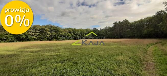 Działka w otulinie lasu - Grabowiec