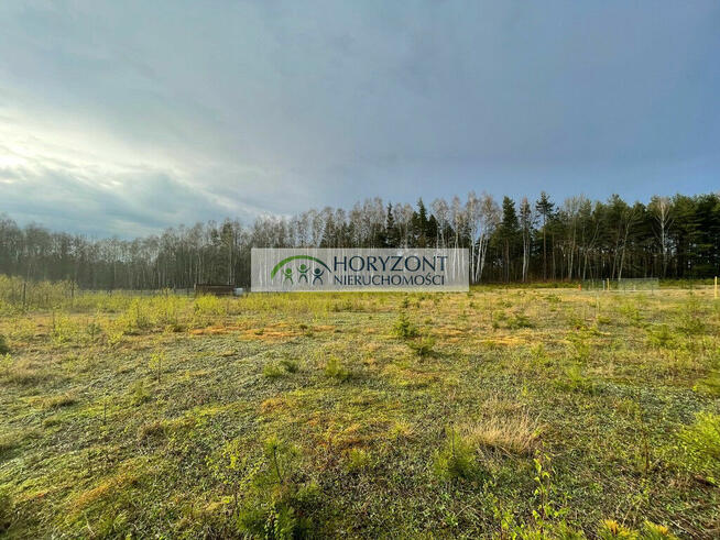 Kamień - działka przy zagajniku