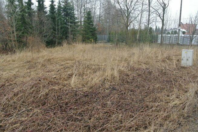 Działka Kostomłoty Pierwsze gm. Miedziana Góra