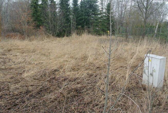 Działka Kostomłoty Pierwsze gm. Miedziana Góra