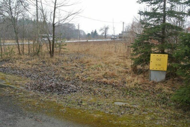 Działka Kostomłoty Pierwsze gm. Miedziana Góra