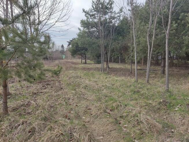 Działka budowlana Chmielnik Piotrkowice