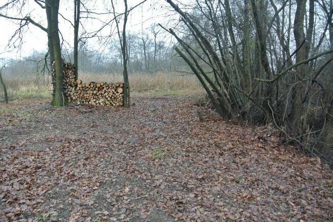 Działka Zagrody gm. Sitkówka-Nowiny