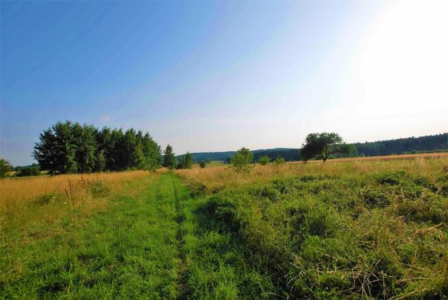 Działka Chęciny Bolmin