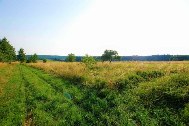 Działka Chęciny Bolmin
