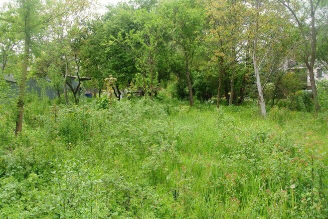 Działka Kielce Piaski