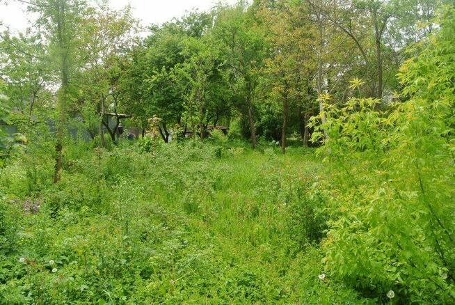 Działka Kielce Piaski