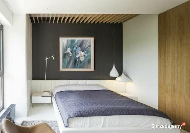 Białe Irysy, ręcznie malowany olejny, Lidia Olbrycht