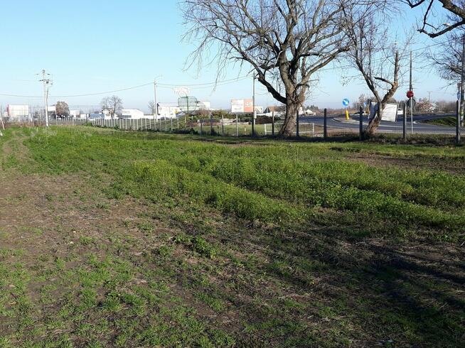 Działka inwestycyjna 1h z MPZP przy E7 do wynajęcia