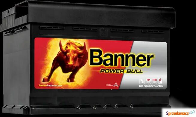 Akumulator Banner Power Bull 72Ah 670A