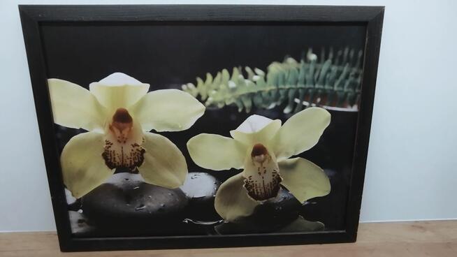 Sprzedam obrazek storczyki