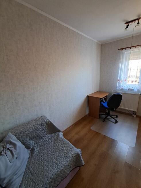 Boczna K-r-o-m-e-r-a w zielonej okolicy