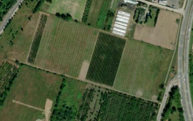 Działka inwestycyjna 1h z MPZP przy E7 do wynajęcia