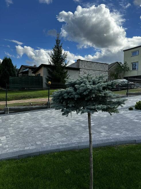 PŁYTA PODMURÓWKOWA GŁADKA wibroprasowana