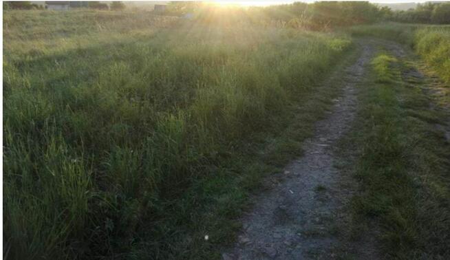 Działka rekreacyjna Ostrów, podkarpackie