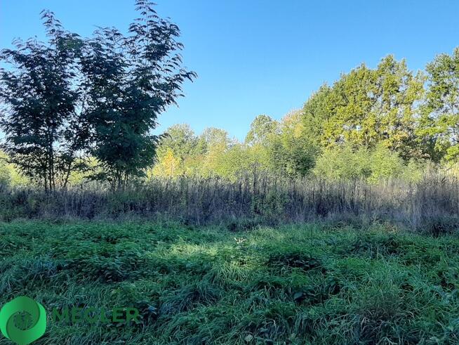 Dobra lokata kapitału