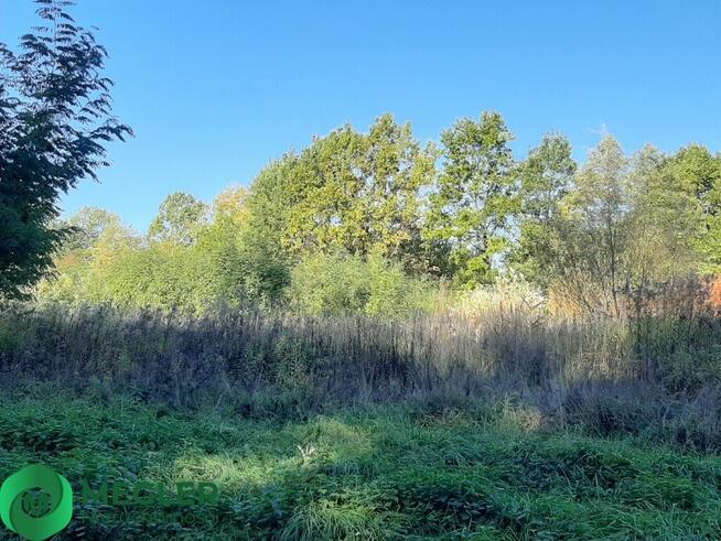 Dobra lokata kapitału