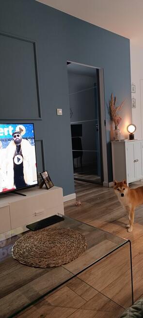 Sprzedam M2 + balkon, wyposażone i umeblowane