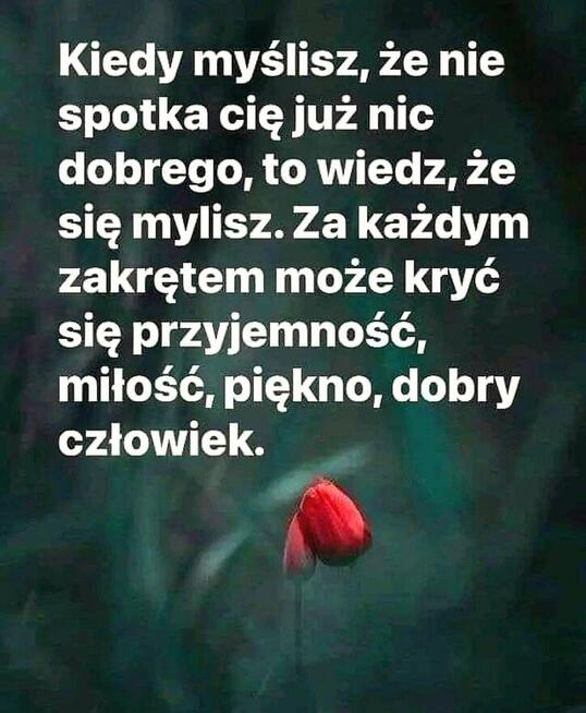 64-letni, bez nałogów szuka przyjaciółki na stałe.