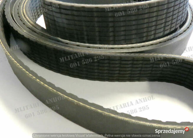 PASEK KLINOWY ~3,10m (Reddot AC.) - HUMVEE