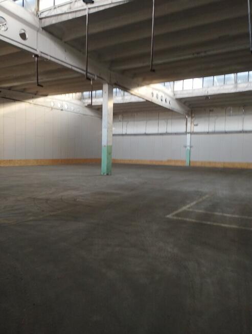 Wynajmę hala magazynowa 900 m2 + biura 200 m2