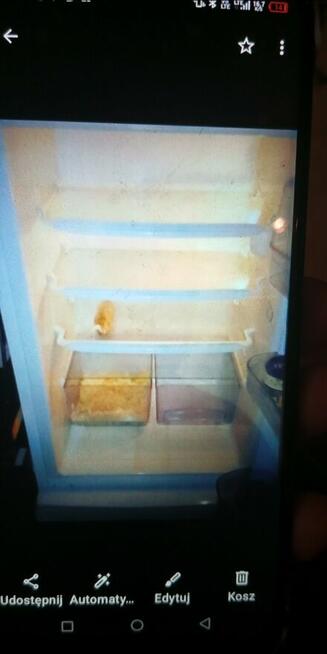 Błagam o pomoc na kolanach pomóż mi Bóg zapłać