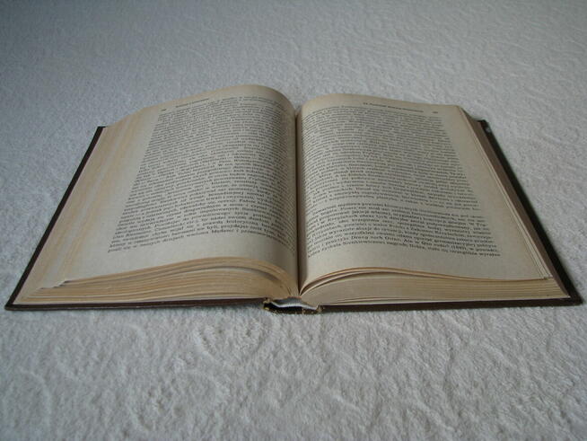 Historia literatury polskiej w zarysie M. Stępień Wydanie I